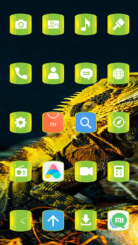 Chameleon_3MDS