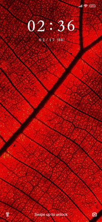 Leaf Abstract_3MDS