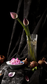 Vase water tips 5