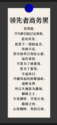 领先者商务黑