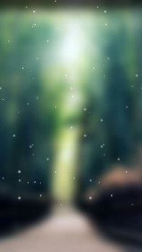 绿幻