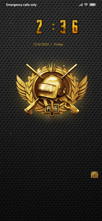 PUBG the conqueror