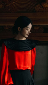 赵丽颖再破天花板