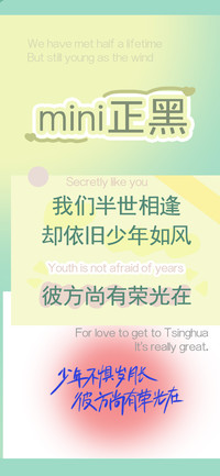 mini正黑