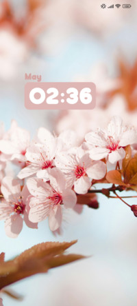 Pink Flower