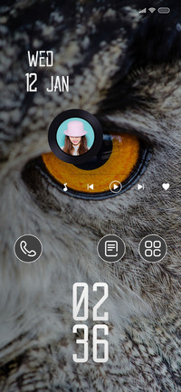 Owl