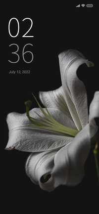 black and flower