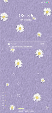 小雏菊吖