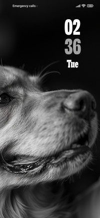 Dog