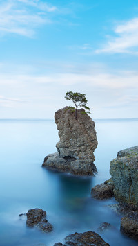 悬崖为何都在海边