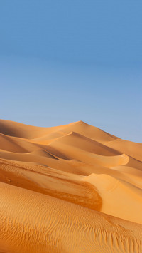 Pure Wind Desert