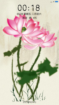 荷花