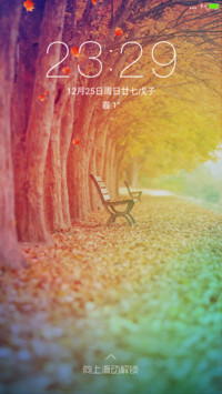 落叶缤纷