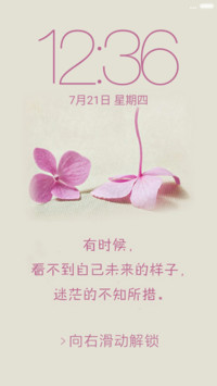 爱情四叶草（Pro版）