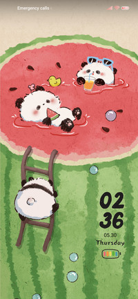 Watermelon summer