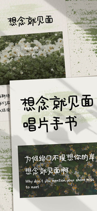想念就见面唱片手书
