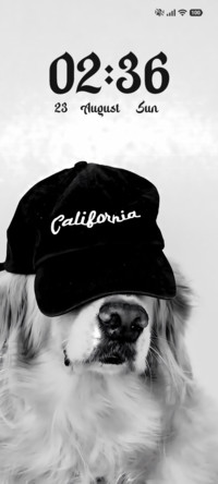 Call Me Cool