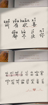 所有欢喜都不及你