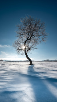 In winter bashang