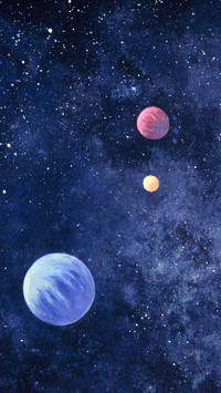 Monkeys sent into space 70