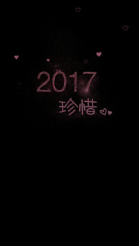 珍惜2017