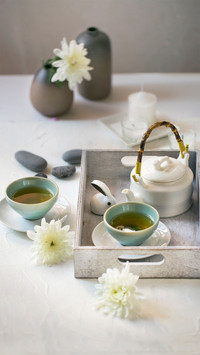 千年传雅韵唯有茶之道