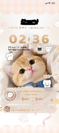 呆呆的小猫咪