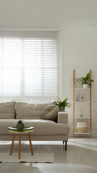 Stylish living room with comfortable grey sofa and plants