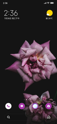 Blush Noir