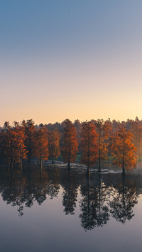 The red shirt forest in the park