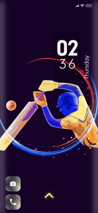 Cricket_24