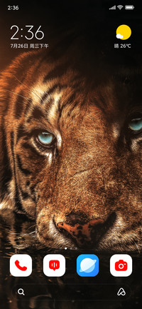 Tiger in Zoo