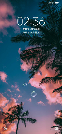 晚风椰林 简约护眼
