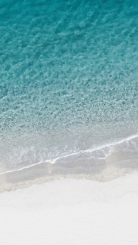 Tropical (16)
