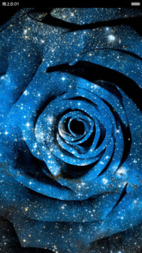 （动态）最美星空玫瑰（全图标+自由桌面）