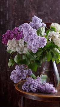 You said you loved lilac 46