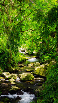 Natural rivers
