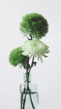 international_lifestyle (1)