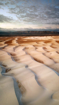 Pure Wind Desert