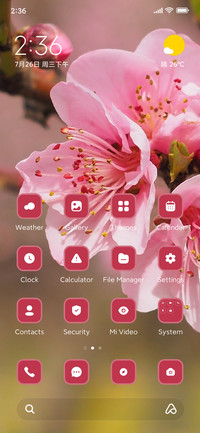 Spring Flower