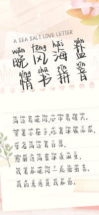 晚风海盐情书拼音