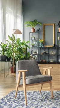 Plants that work better than humidifiers 19