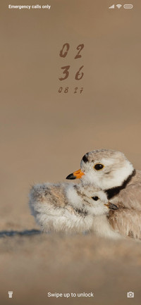 Nature Birds_3MDS