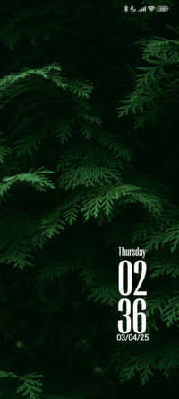 Dark Trees