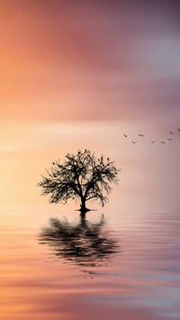 Find the secret to healing oneself