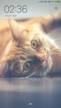 小懒猫