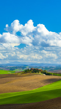 Green fields