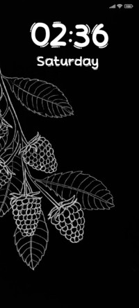 Raspberry