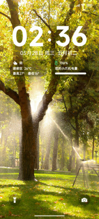 清新夏光林影