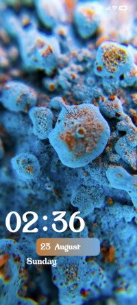 Sea Life